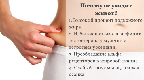 Как убрать живот с помощью правильного питания