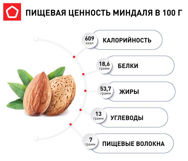 Миндаль — польза и вред для женского здоровья