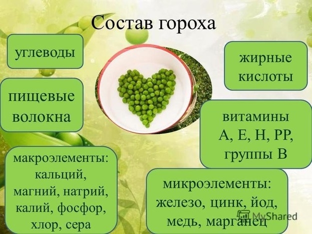 Состав гороха — полезные свойства и питательные вещества