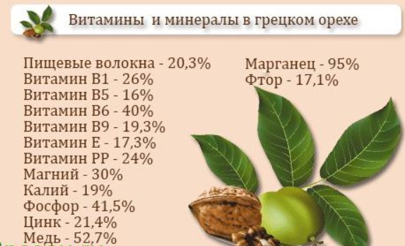 Грецкий орех и его влияние на потенцию у мужчин