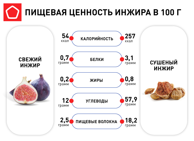 Состав и польза сушеного инжира