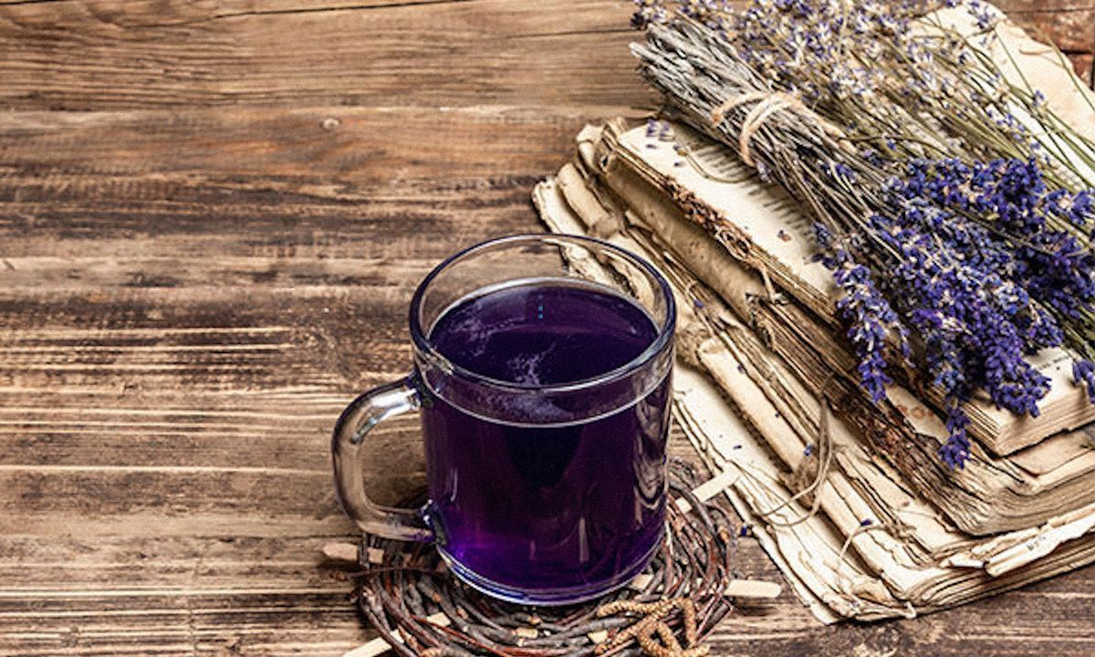 Польза чая из лаванды — все секреты и свойства